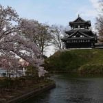 日本三大夜桜【高田公園】の夜桜は幻想的で感動がいっぱいです!