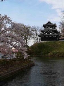 桜の季節の高田城